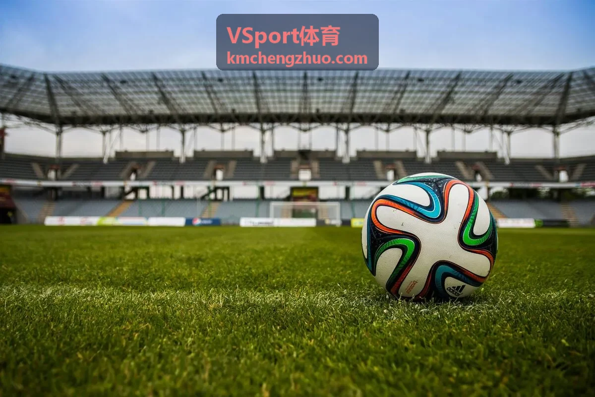 VSport体育用户职业教练头像